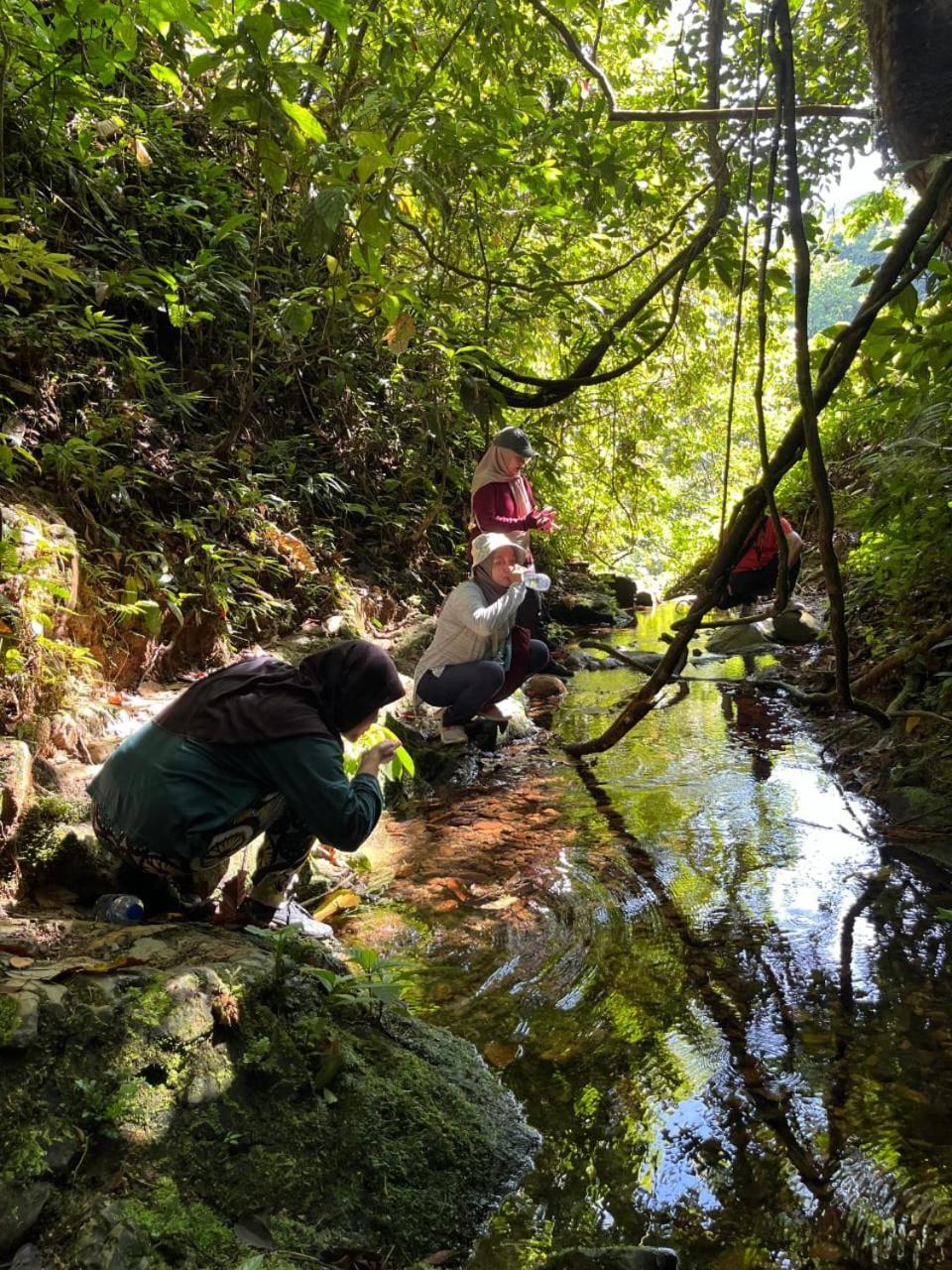 Pongo Guest House & Jungle Trekking Bukit Lawang Esterno foto