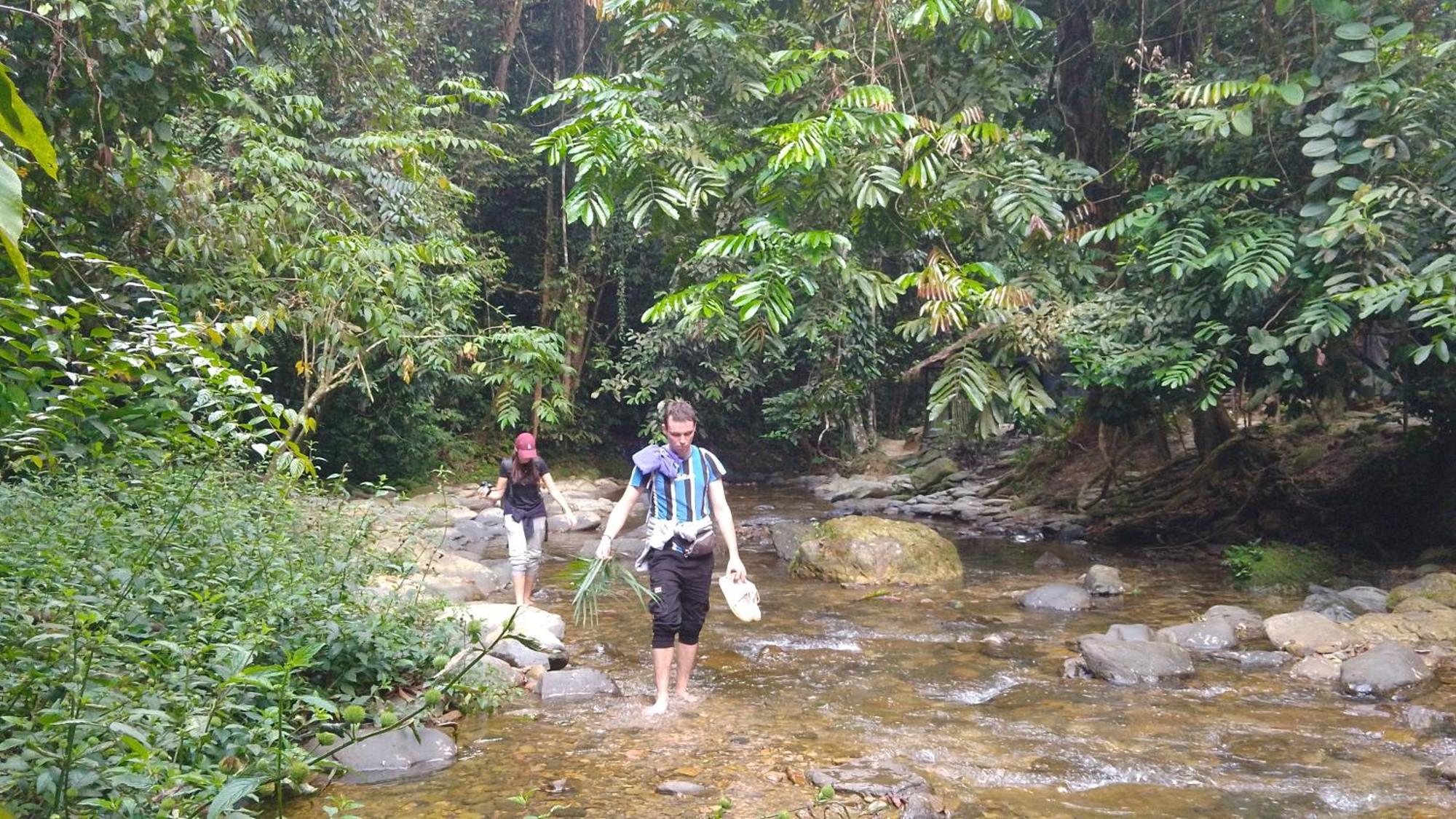 Pongo Guest House & Jungle Trekking Bukit Lawang Esterno foto