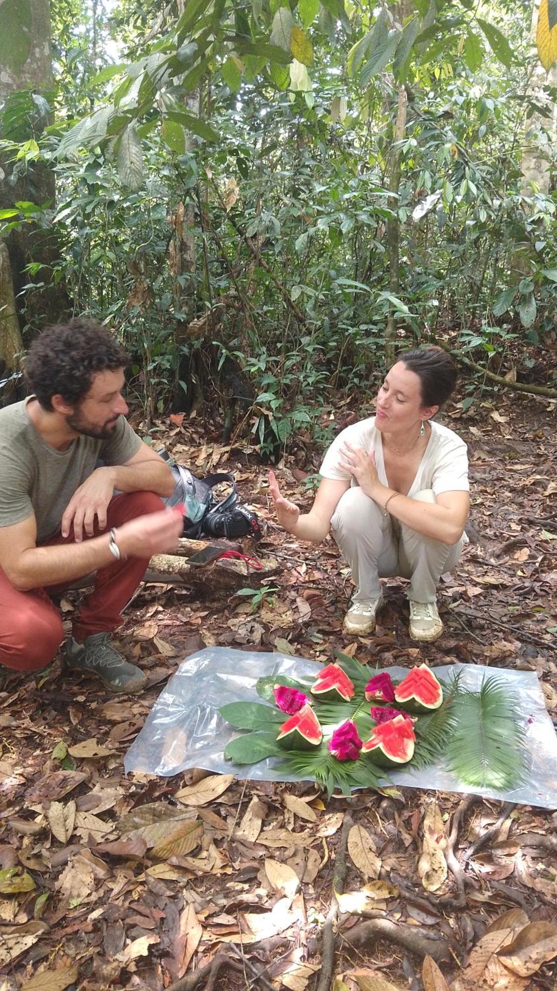 Pongo Guest House & Jungle Trekking Bukit Lawang Esterno foto